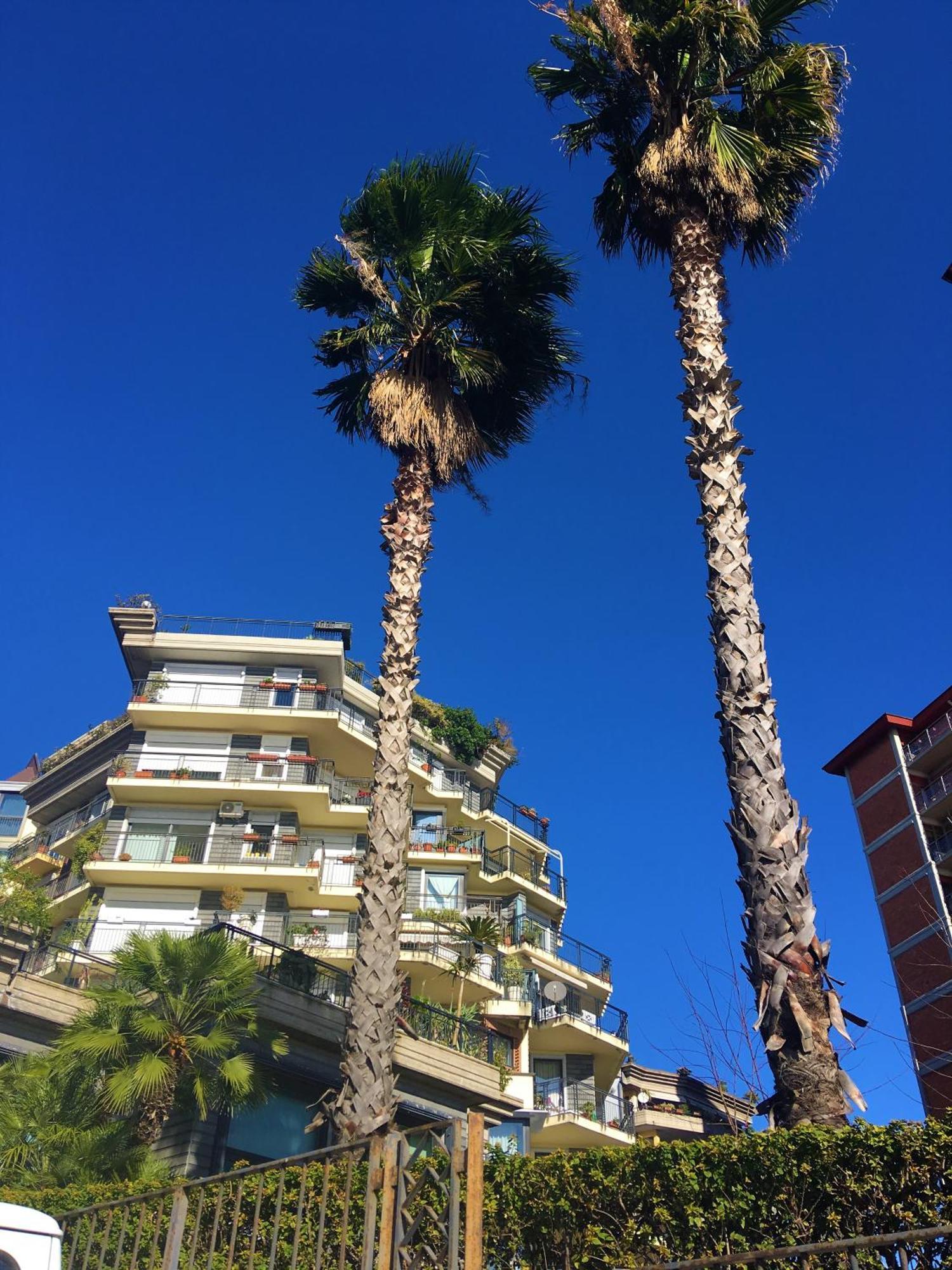 Seafront In The City Hotel Catania Luaran gambar